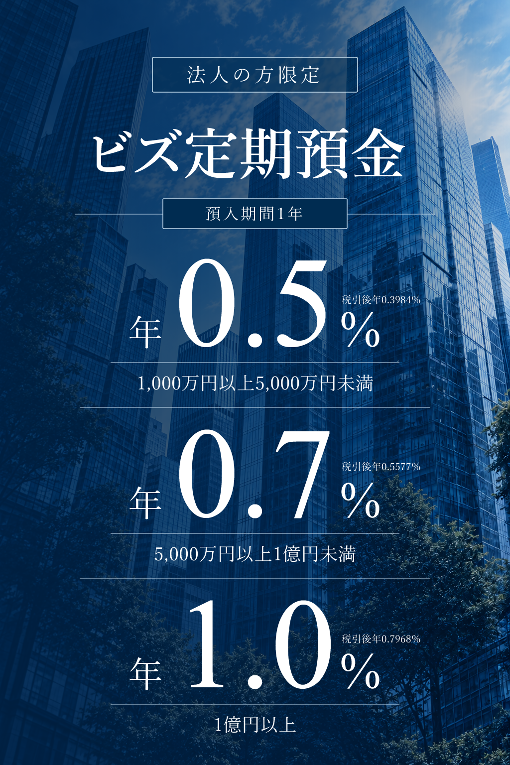 法人の方限定 ビズ定期預金