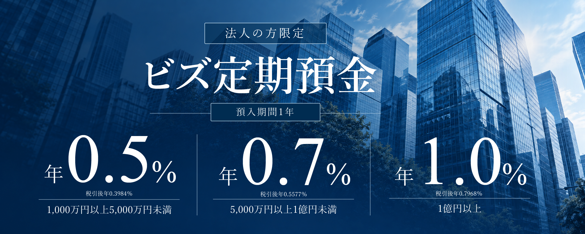 法人の方限定 ビズ定期預金